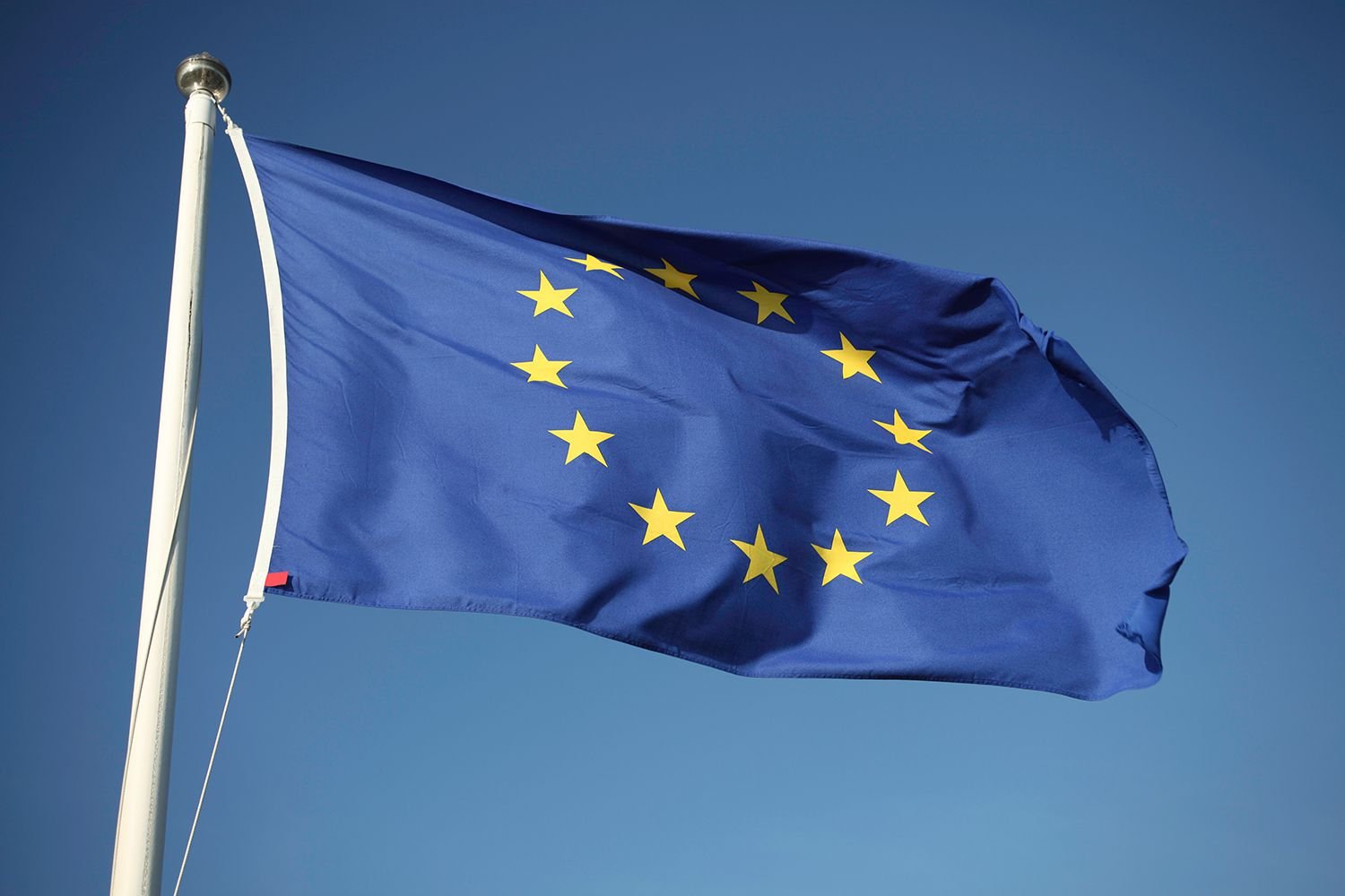 Image in @MarioNawfal's post: 🚨 JUST IN - European Union foreign policy official:
"Israel's call to evacuate residents of north…