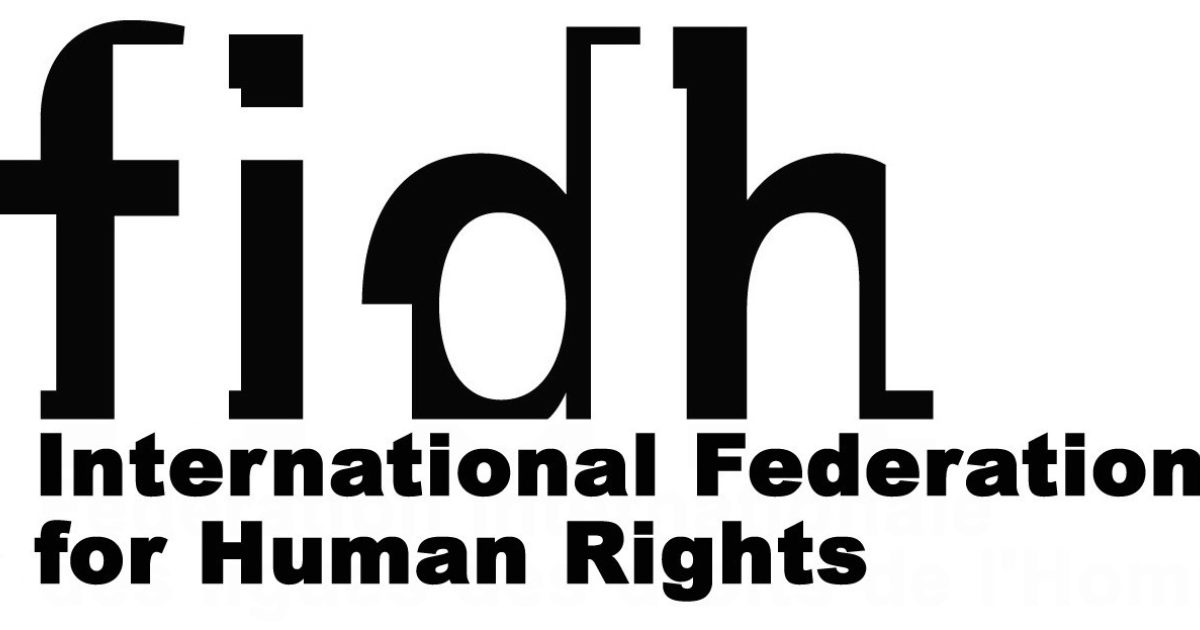 Image in @MarioNawfal's post: 🚨JUST IN: International Federation for Human Rights:
"We are shocked and horrified by Israel's kil…