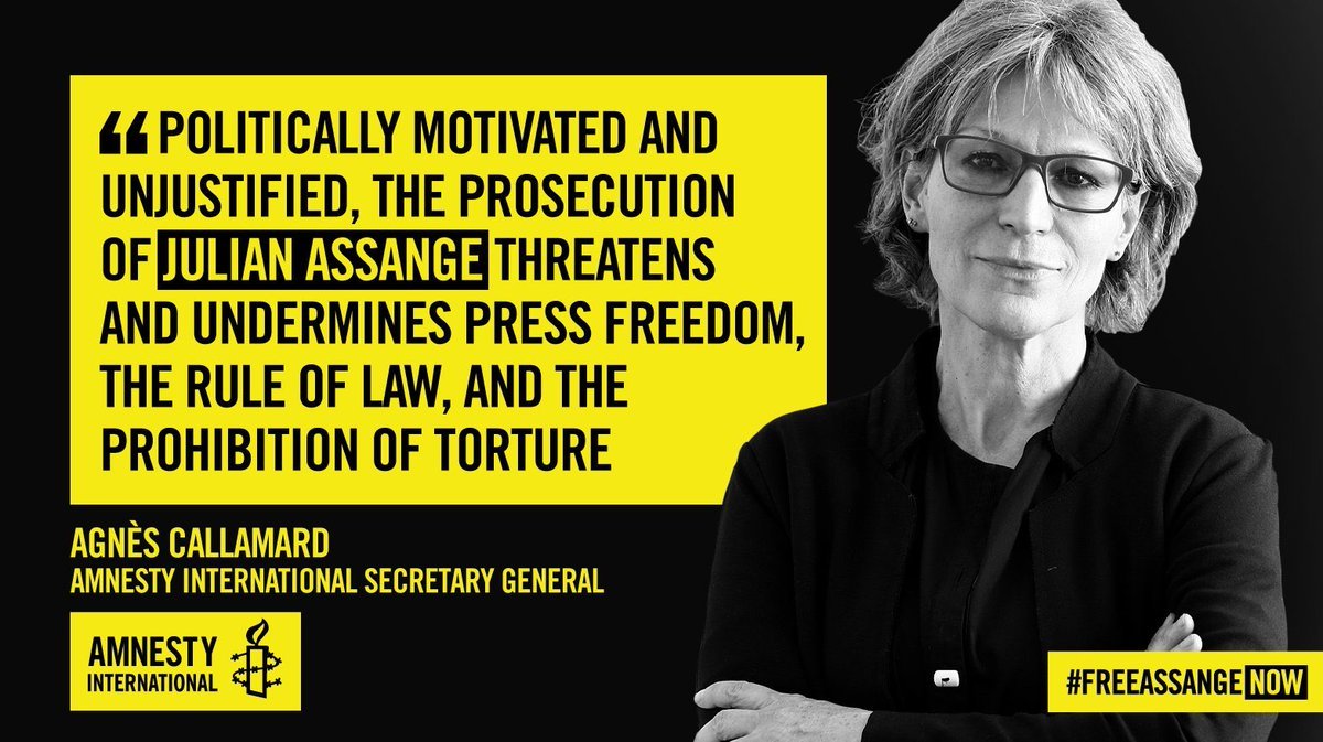 Image in @JulianAssange's post: Amnesty International on the persecution of Julian Assange: 'Politically motivated and unjustified'…