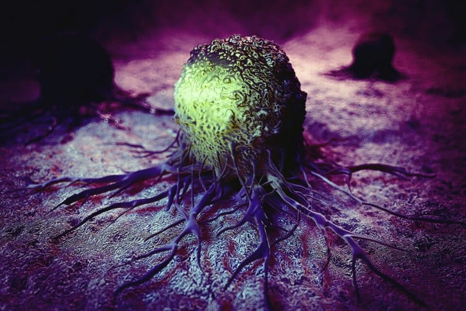 Image in @MarioNawfal's post: STUDY: YOUR GUT COULD GIVE YOU COLON CANCER?
A new study finds a correlation between gut bacteria …