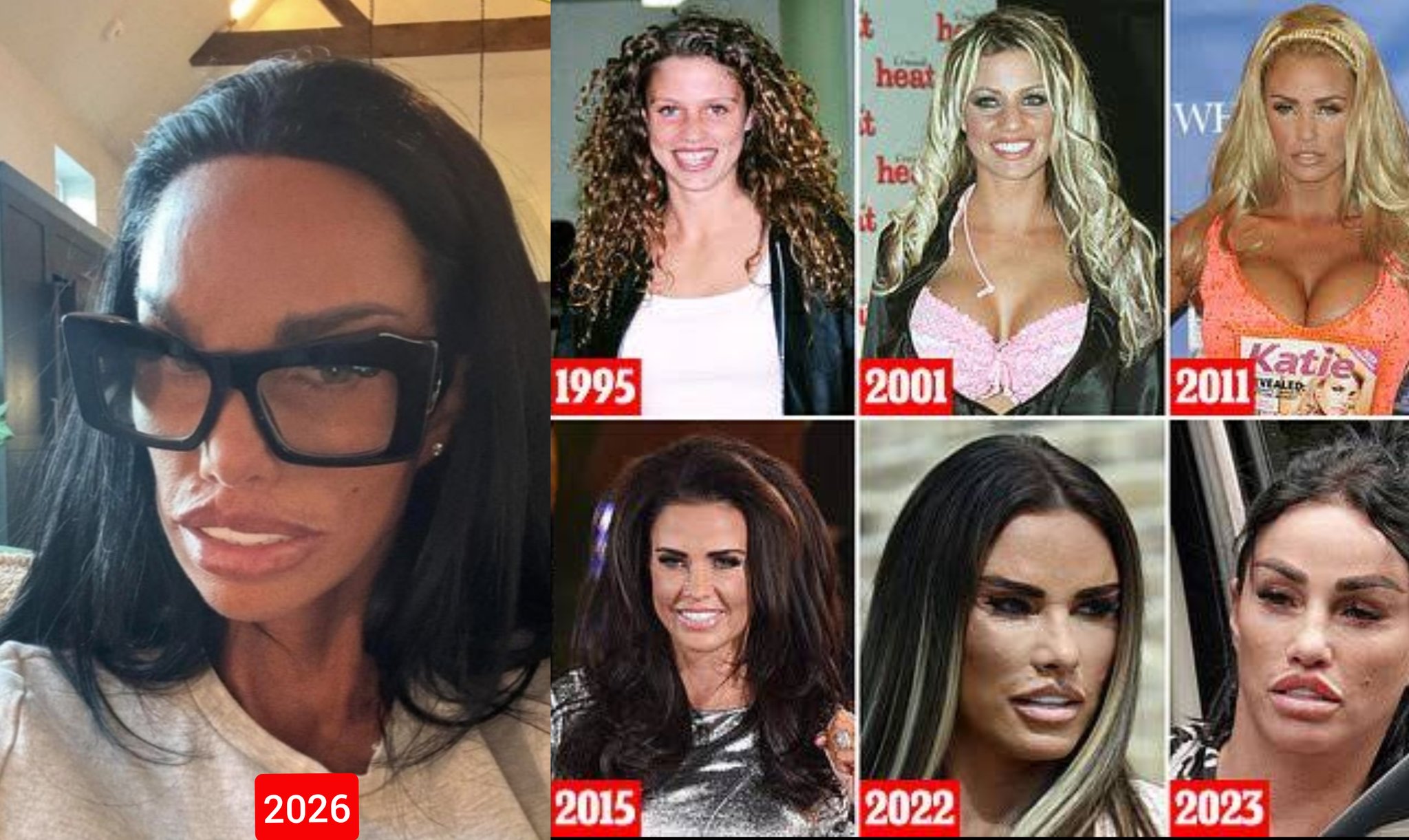 Image in @IfindRetards's post: Evolution of the retard, Katy Price. https://t.co/V4D4ss92Ka