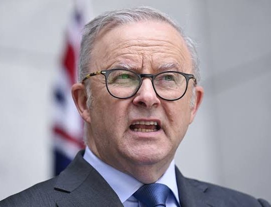 Image in @IfindRetards's post: Send a message to @AlboMP
How retarded is he out of 10? https://t.co/mQEF0wF6Pe