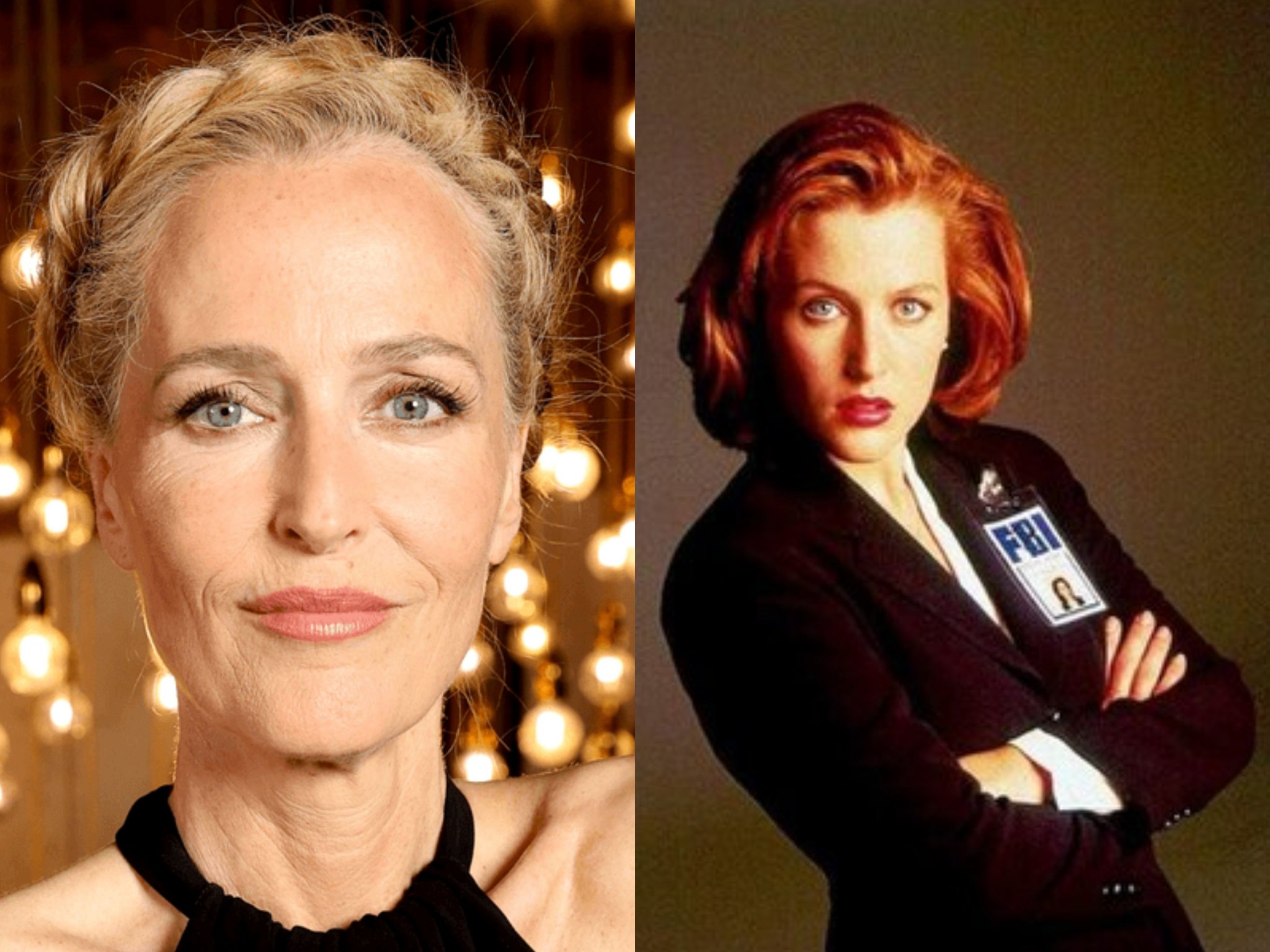 Image in @IfindRetards's post: The retard who played Dana Scully in The X Files has come out as Pansexual.
I guess the attention…