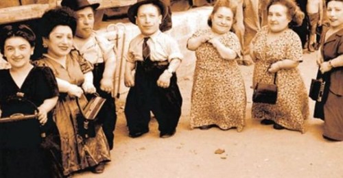 Image in @andreadispiaga's reply: @RabbiJeffx his grandparents are the original 7 dwarfs from auschwitz
the wife is now snow white h…