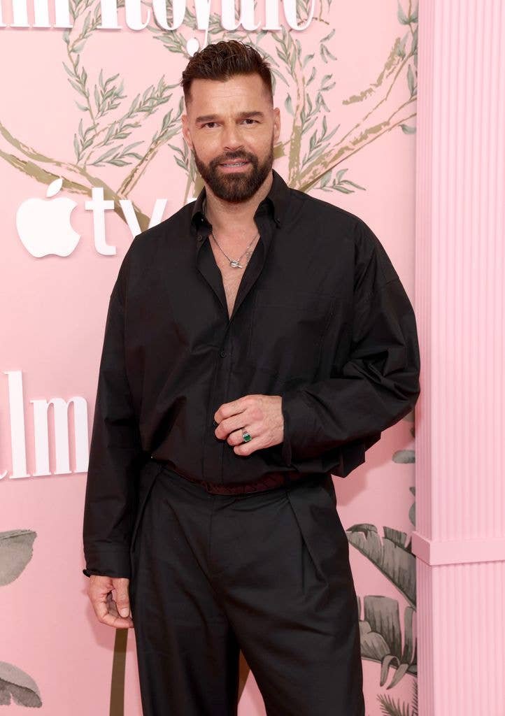 Image in @IfindRetards's post: Ricky Martin once said of his twin boys, “I wish they were gay. It is a very special thing.”
What …