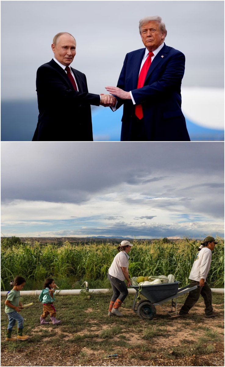 Image in @MarioNawfal's post: 🇷🇺🇺🇲 Putin reportedly offered the U.S. MORE Russian fertilizer as AMERICAN FARMERS STRUGGLE
Moscow…
