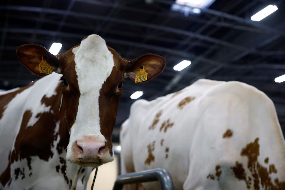 Image in @MarioNawfal's post: 🇫🇷 A LIVESTOCK VIRUS just crossed INTO HUMANS for the first known time
France says a severely immu…