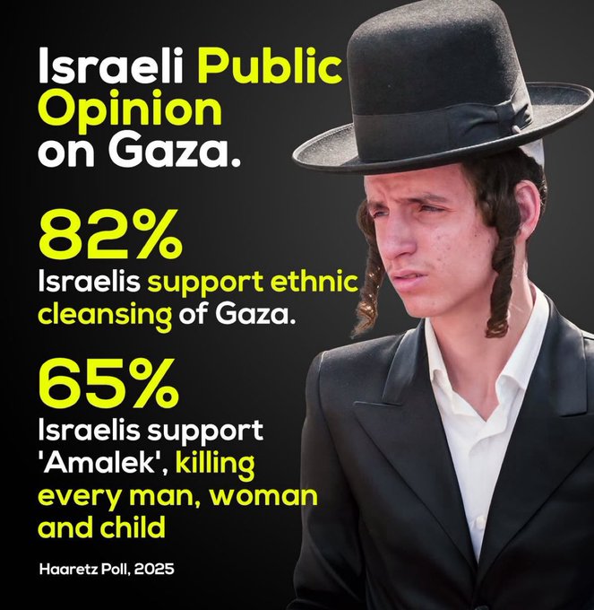Image in @Pam1990V's reply: @MarioNawfal The Zionists are more than eager to deport or murder all non-Jews in the region.
The N…