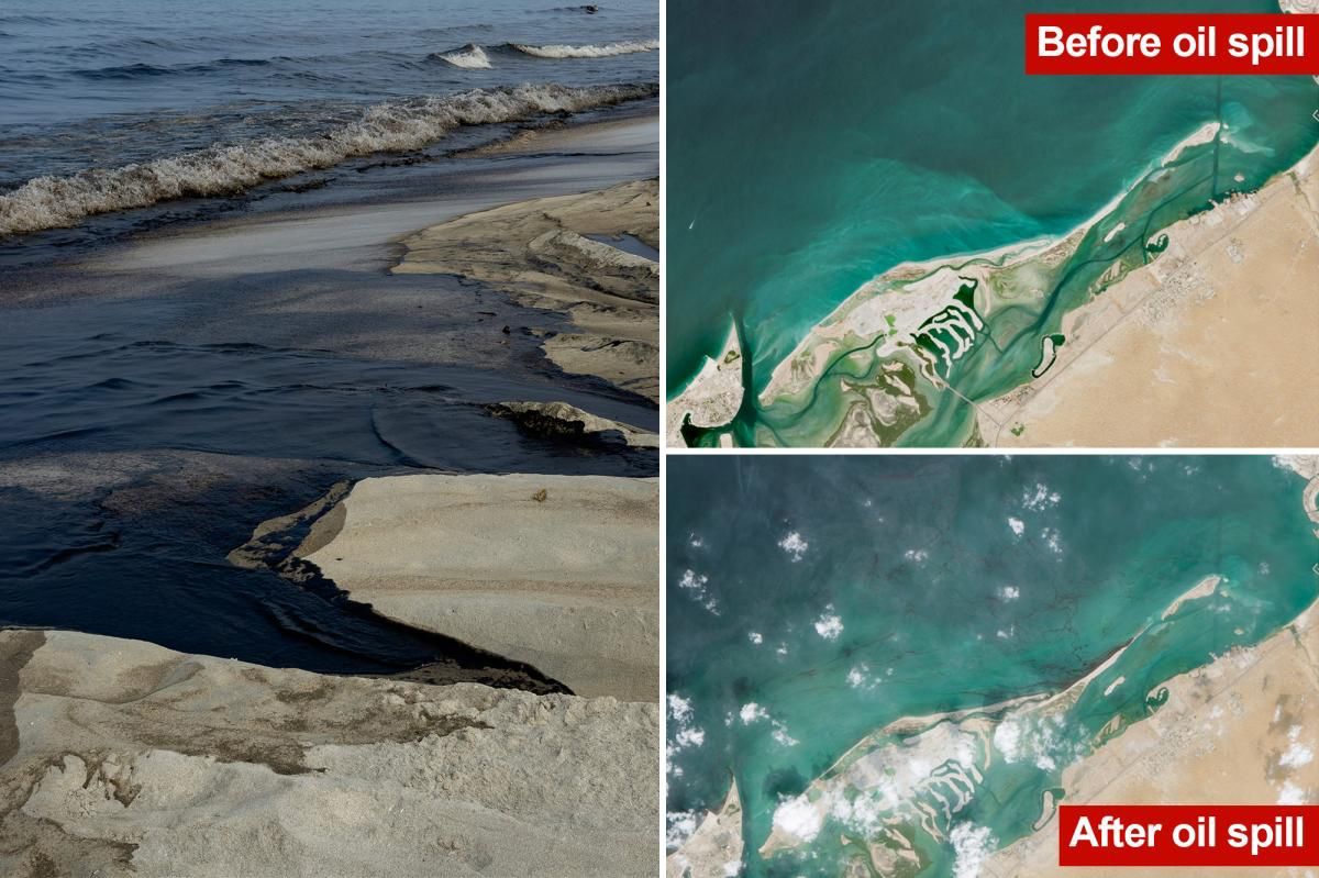Image in @MarioNawfal's post: 🇦🇪🇮🇷 Oil from a damaged tanker is SMOTHERING the shores of the UAE
Beach closures are now in effec…