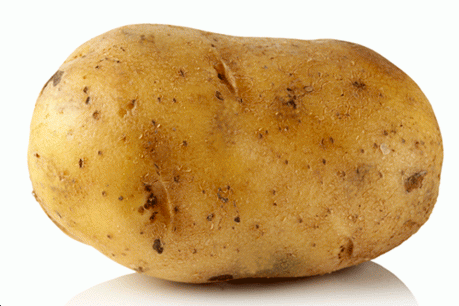 Image in @sneako's post: RT for this potato
Fav for Tina Palacios http://t.co/tiLNejOHqs